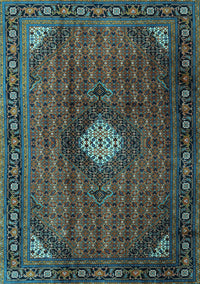 Persian Light Blue Traditional Rug, tr2151lblu