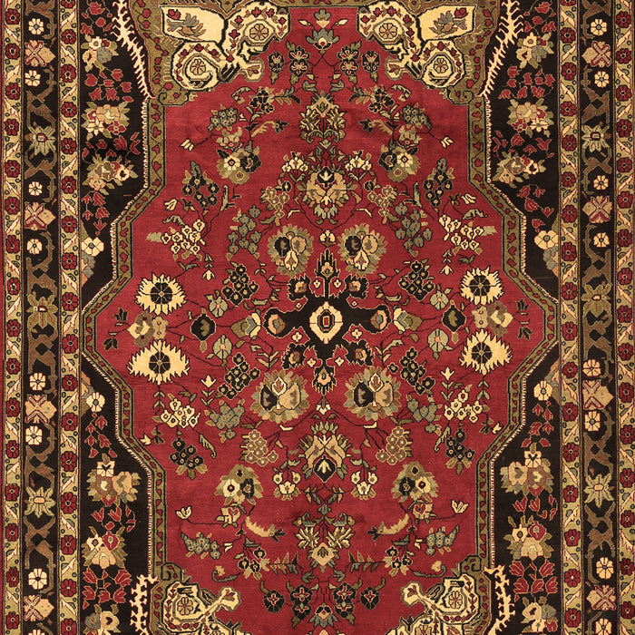 Persian Brown Traditional Rug, tr2152brn