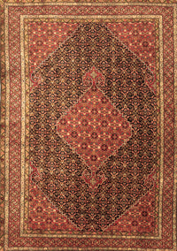 Persian Brown Traditional Rug, tr2153brn