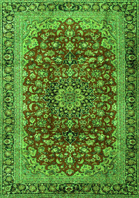 Medallion Green Traditional Rug, tr2157grn