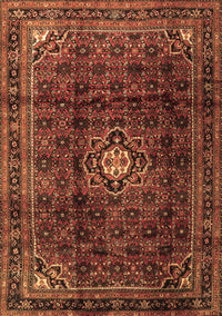 Persian Brown Traditional Rug, tr2158brn