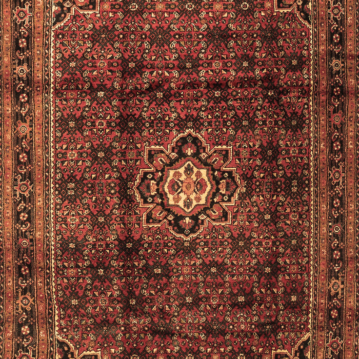 Persian Brown Traditional Rug, tr2158brn