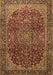 Machine Washable Medallion Brown Traditional Rug, wshtr2160brn