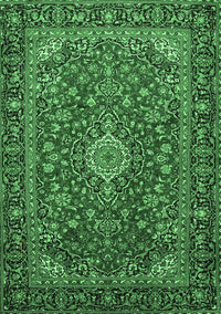 Medallion Emerald Green Traditional Rug, tr2161emgrn