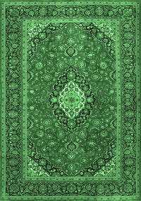 Medallion Emerald Green Traditional Rug, tr2162emgrn