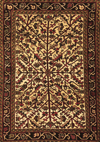 Persian Brown Traditional Rug, tr2163brn