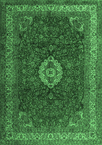 Persian Emerald Green Traditional Rug, tr2165emgrn