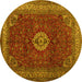 Round Machine Washable Persian Yellow Traditional Rug, wshtr2165yw