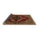 Sideview of Medallion Brown Traditional Rug, tr2169brn