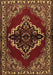 Machine Washable Medallion Brown Traditional Rug, wshtr2169brn