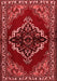 Medallion Red Traditional Area Rugs