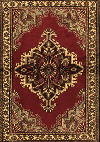 Medallion Brown Traditional Rug, tr2169brn