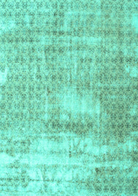 Persian Turquoise Traditional Rug, tr216turq