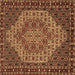 Square Persian Brown Traditional Rug, tr2171brn