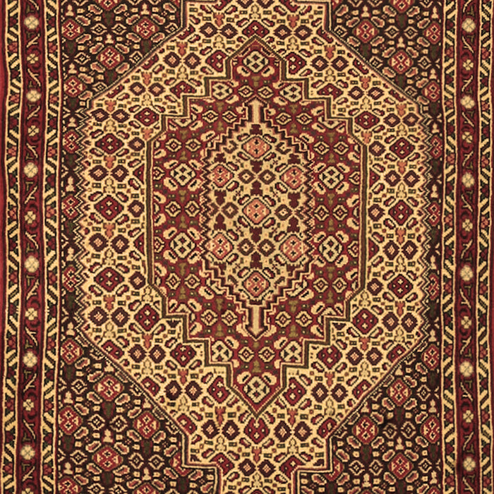 Machine Washable Persian Brown Traditional Rug, wshtr2171brn