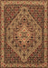 Machine Washable Persian Brown Traditional Rug, wshtr2172brn