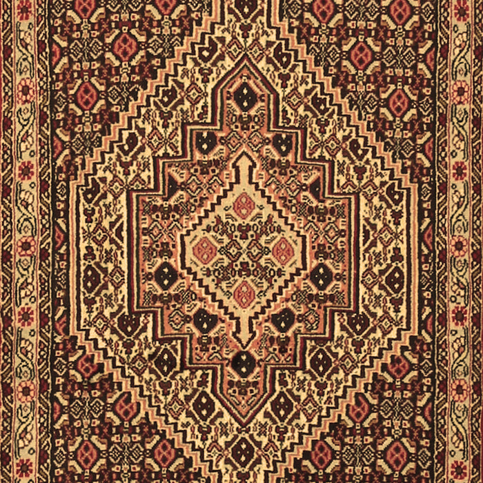 Machine Washable Persian Brown Traditional Rug, wshtr2172brn