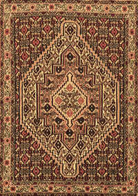 Persian Brown Traditional Rug, tr2172brn