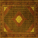 Square Persian Yellow Traditional Rug, tr2174yw