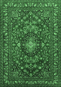 Persian Emerald Green Traditional Rug, tr2175emgrn