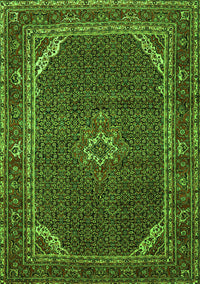 Persian Green Traditional Rug, tr2177grn