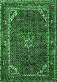 Persian Emerald Green Traditional Rug, tr2177emgrn