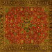 Square Persian Yellow Traditional Rug, tr2178yw