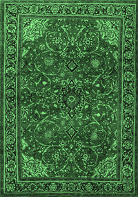 Persian Emerald Green Traditional Rug, tr2179emgrn