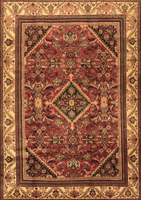 Persian Brown Traditional Rug, tr2180brn