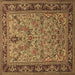 Square Persian Brown Traditional Rug, tr2190brn