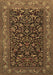 Machine Washable Persian Brown Traditional Rug, wshtr2192brn