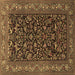 Square Persian Brown Traditional Rug, tr2192brn