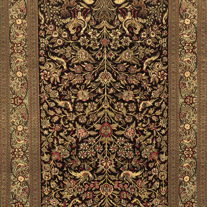 Persian Brown Traditional Rug, tr2192brn