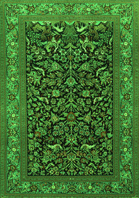 Persian Green Traditional Rug, tr2192grn