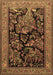 Persian Brown Traditional Rug, tr2193brn