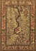 Animal Brown Traditional Rug, tr2194brn