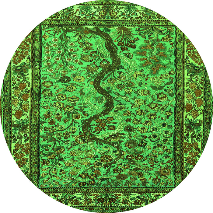 Square Animal Green Traditional Rug, tr2194grn