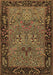 Animal Brown Traditional Rug, tr2195brn