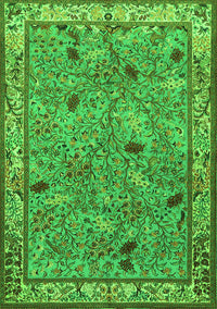 Animal Green Traditional Rug, tr2196grn