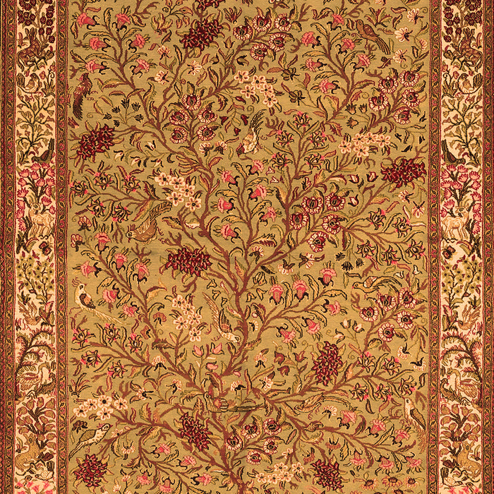Animal Orange Traditional Rug, tr2196org