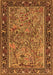 Serging Thickness of Machine Washable Animal Orange Traditional Area Rugs, wshtr2197org