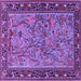 Square Animal Purple Traditional Rug, tr2197pur