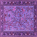 Square Machine Washable Animal Purple Traditional Area Rugs, wshtr2197pur