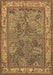 Animal Brown Traditional Rug, tr2198brn