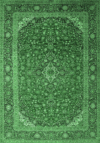 Medallion Emerald Green Traditional Rug, tr219emgrn