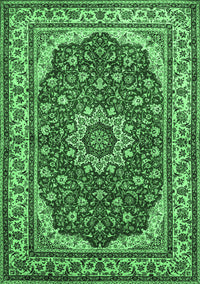 Medallion Emerald Green Traditional Rug, tr21emgrn