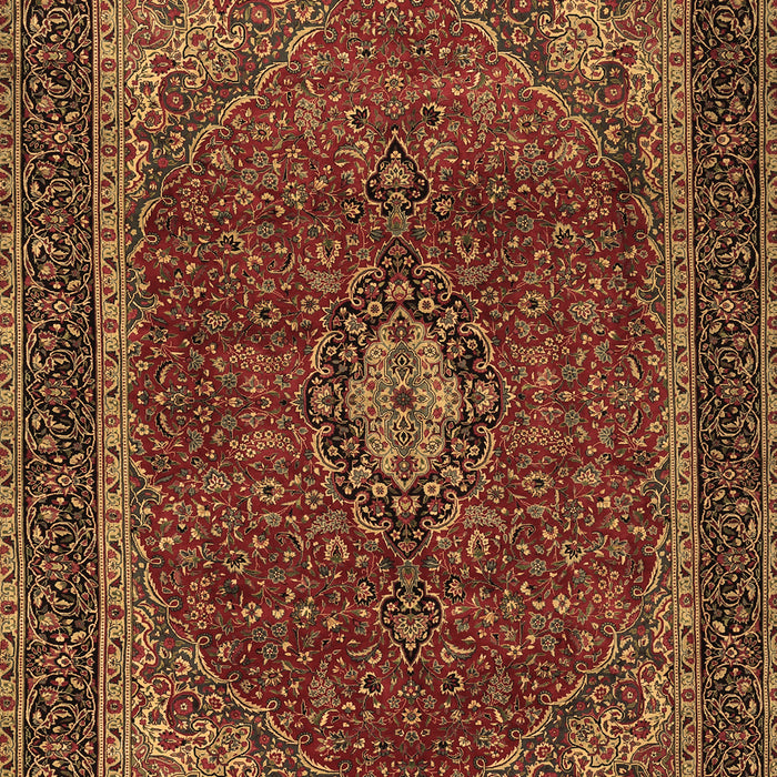 Medallion Brown Traditional Rug, tr2202brn