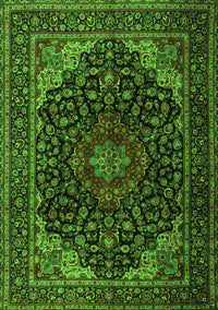 Persian Green Traditional Rug, tr2204grn