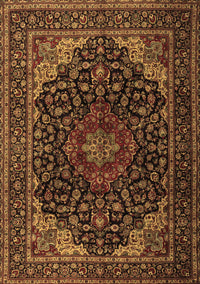 Persian Brown Traditional Rug, tr2204brn