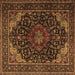 Square Machine Washable Persian Brown Traditional Rug, wshtr2204brn